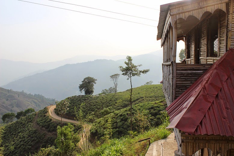 The view from Chiyabari Cottage - Ilam