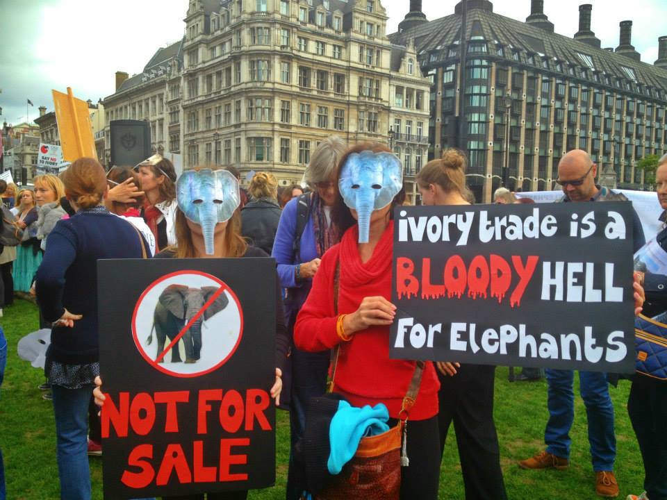 Elephant Protest Small 2