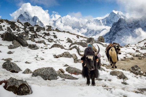 Lobuche, Everest Region, Nepal. Image: Getty